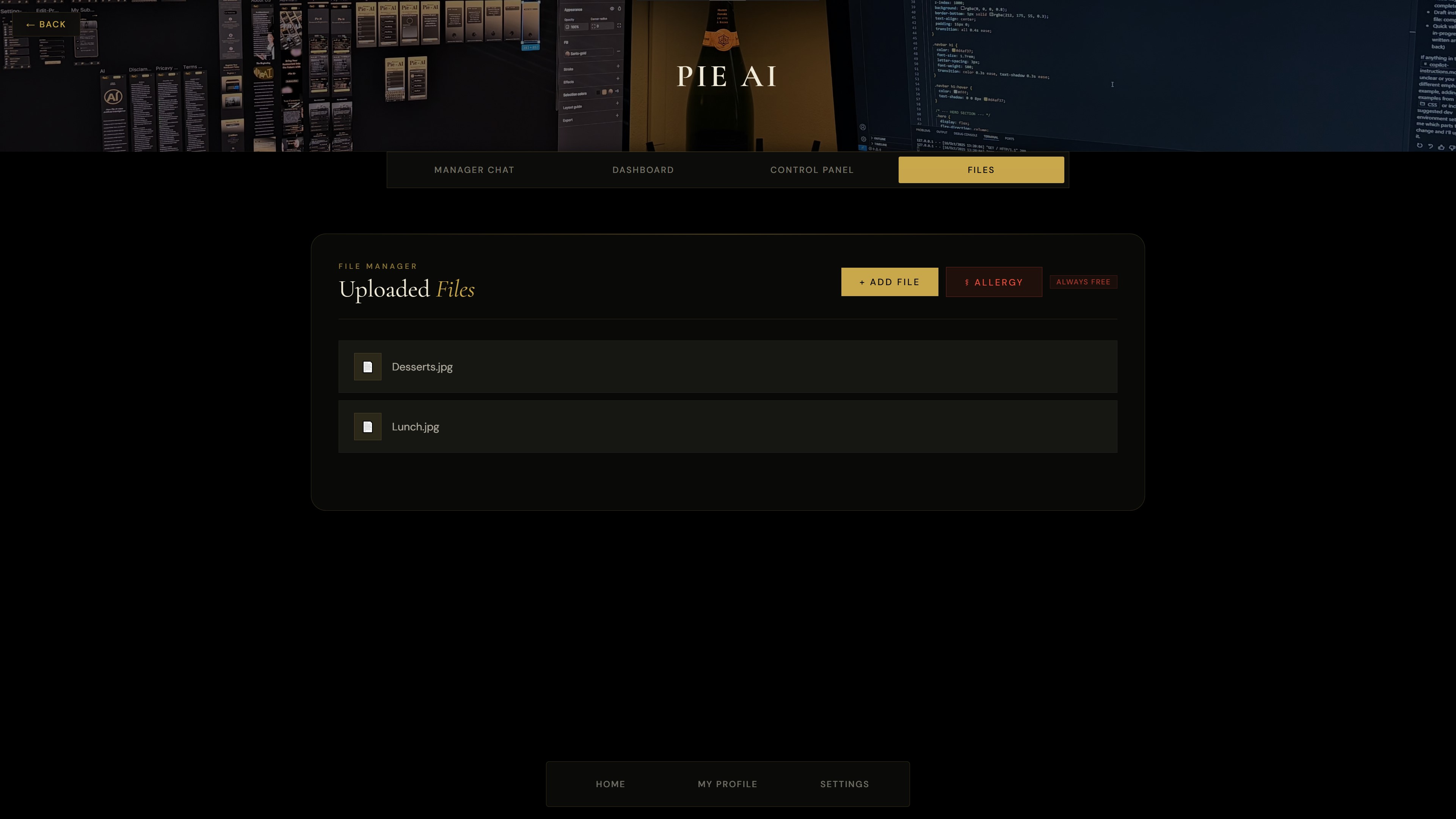 File Upload